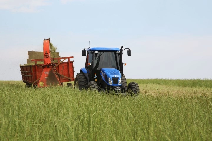campo 04 01 2021
