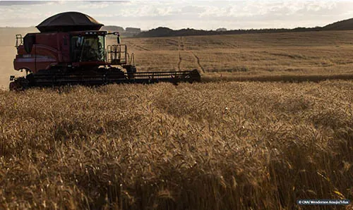 CREDITO RURAL: Empréstimos aumentaram 18% em relação ao último semestre de 2019
