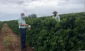 CAPAL: Assistência técnica prepara campo experimental para Tec Campo Café