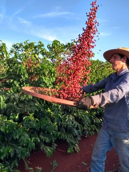COCARI:  Conheça a Rota do Café e saiba mais sobre a participação dos produtores rurais no programa