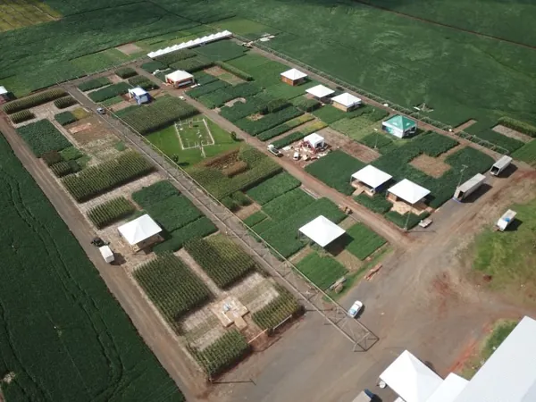 AGRÁRIA: Atividades presenciais do Dia de Campo de Verão são canceladas