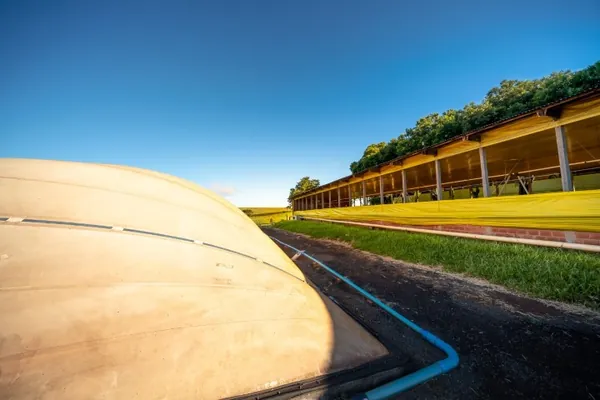 ENERGIA: Fórum online debate potencial da produção, aponta soluções e proporciona negócios para o biogás e biometano