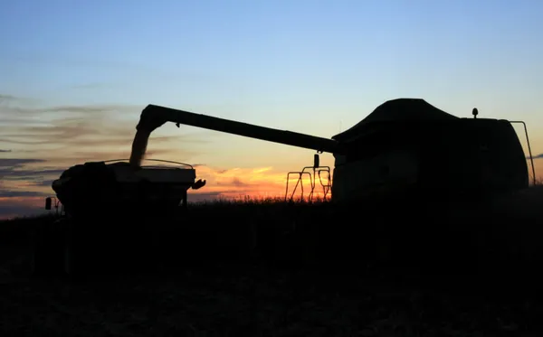FORBES: Coops estão entre as 100 maiores do agro brasileiro
