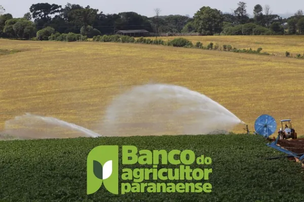 FÓRUM TÉCNICO: Banco do Agricultor será tema de live com secretário Ortigara e cooperativas paranaenses