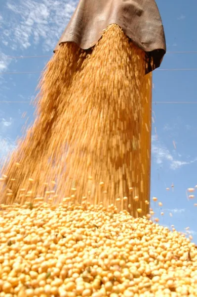 PRODUÇÃO AGROPECUÁRIA: Safra recorde e preços favoráveis garantem VBP elevado em 2021
