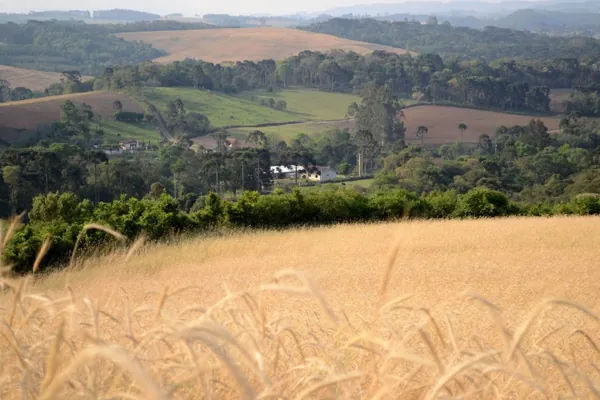 CAR: Paraná será um dos primeiros a fazer análise automática do Cadastro Ambiental Rural