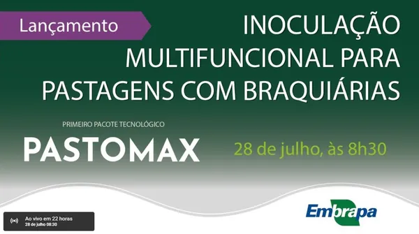EMBRAPA: Tecnologia de Inoculação Multifuncional para Pastagens com Braquiárias será lançada nesta quarta-feira