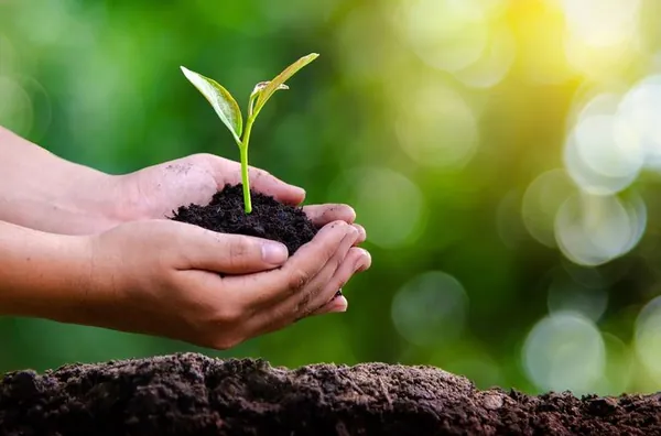 POLÍTICA AGRÍCOLA: Com R$ 27 bilhões, crédito rural atinge recorde no primeiro mês da safra 2021/2022