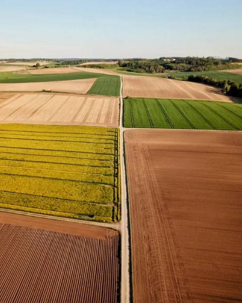 SUPERCAMPO: Produtos financeiros exclusivos, sem garantia atrelada, serão oferecidos aos cooperados por meio de parceria com banco digital do agronegócio 