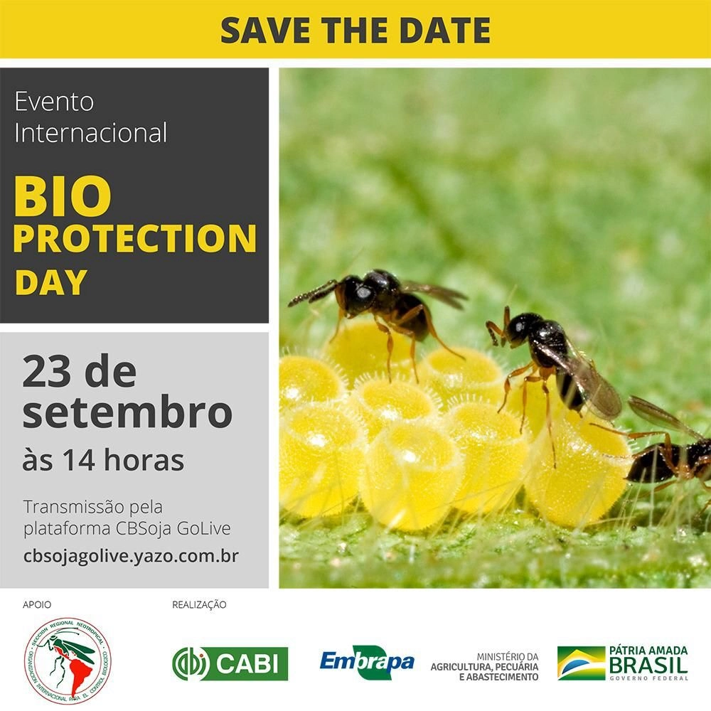 embrapa soja 20 09 2021