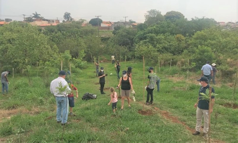 integrada 23 09 2021