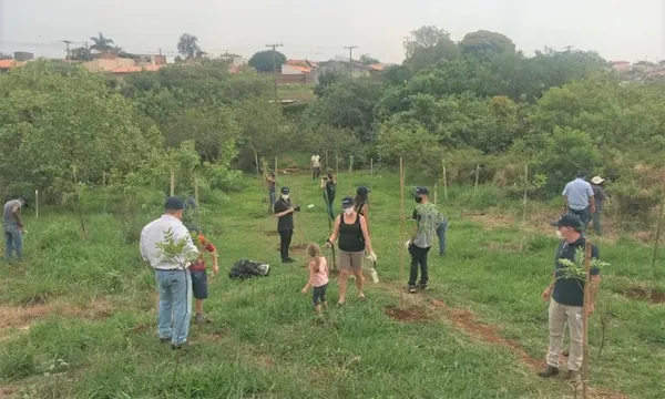 INTEGRADA: Dia da Árvore é todos os dias