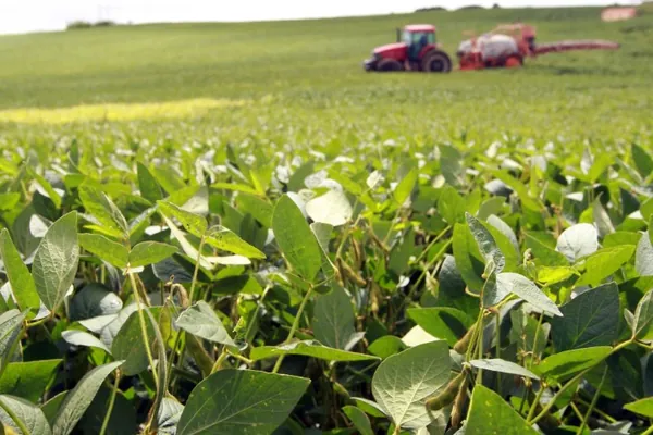 CONJUNTURA AGROPECUÁRIA: Clima irregular atrasa o plantio da soja no Paraná, aponta boletim