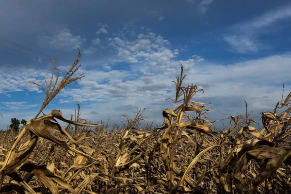 CLIMA: IDR-Paraná alerta sobre impactos de La Niña no desempenho da safra 2021-2022