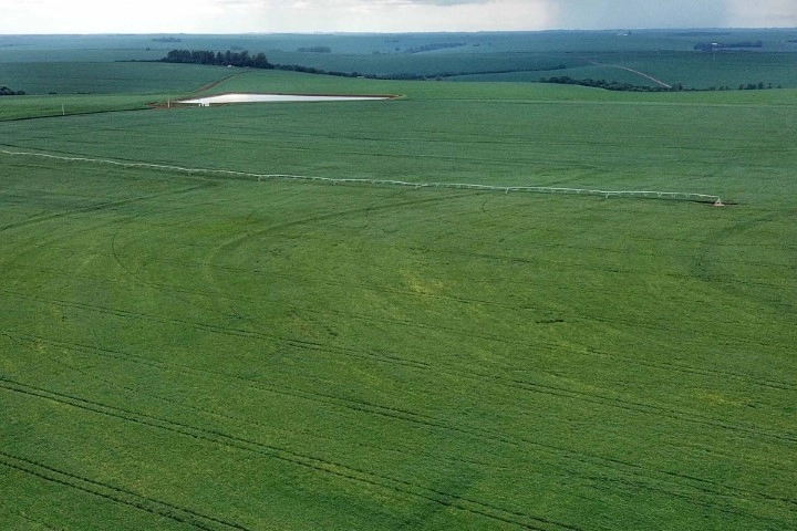 conjuntura agropecuaria 12 11 2021