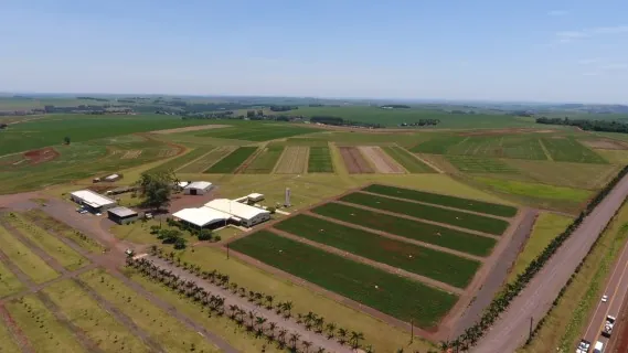 COPACOL: Dia de Campo 2022 será realizado em janeiro
