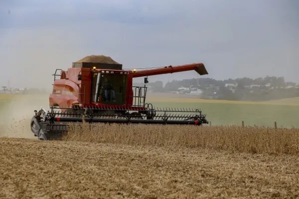 SECA II: Com estiagem, agricultura paranaense estima redução nas safras de soja, milho e feijão