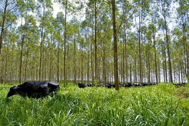 sustentabilidade 20 01 2022