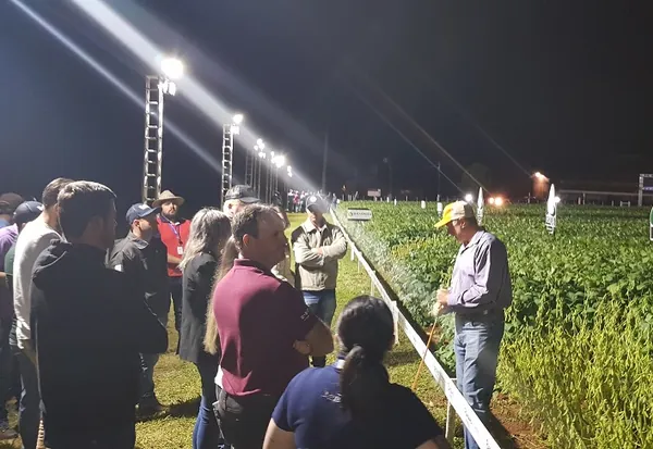 FRÍSIA: Cooperativa prepara Noite de Campo para demonstrar genéticas de soja