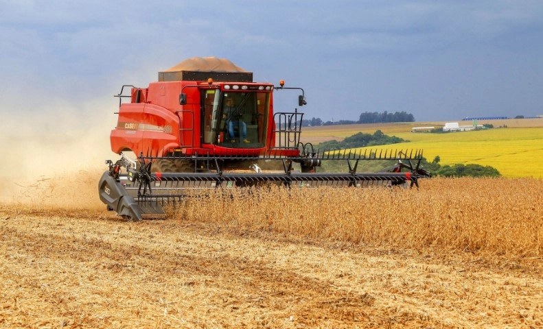 conjuntura agropecuaria 21 02 2022