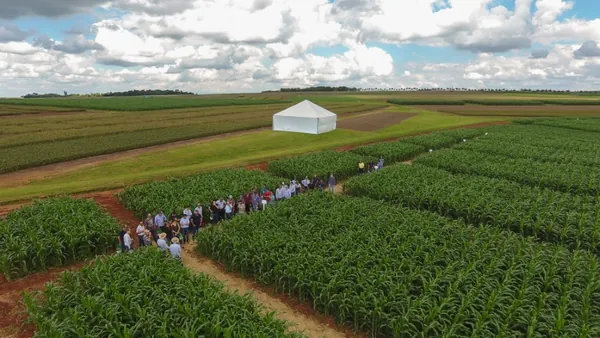 COPACOL: Fertilidade ganha destaque em Dia de Campo 