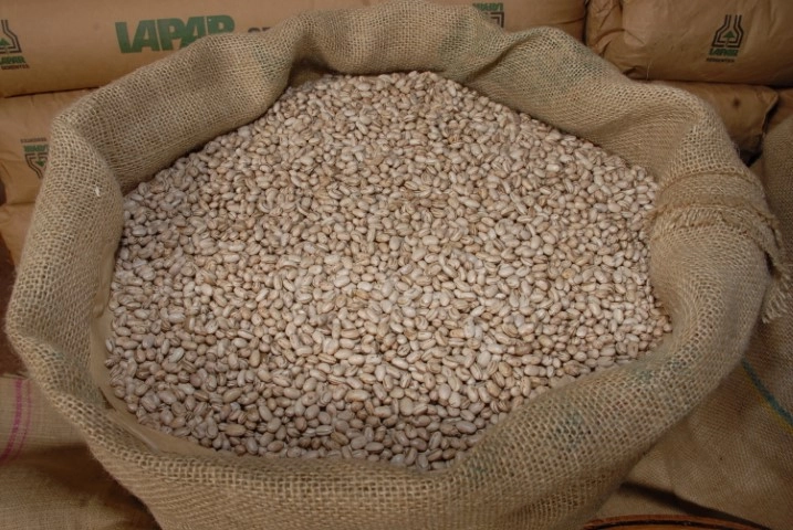 conjuntura agropecuaria 25 03 2022