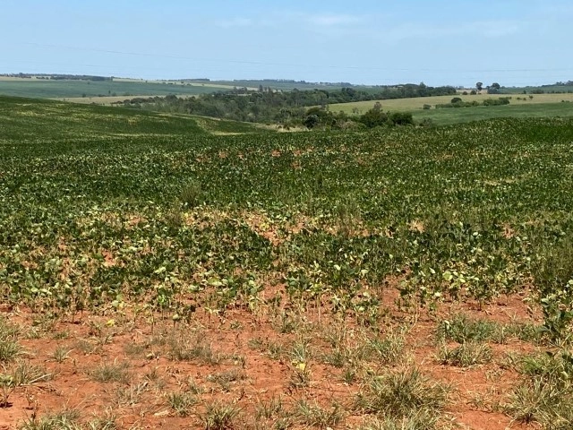 agricultura familiar 01 04 2022