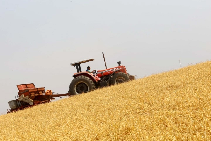 conjuntura agro 08 07 2022
