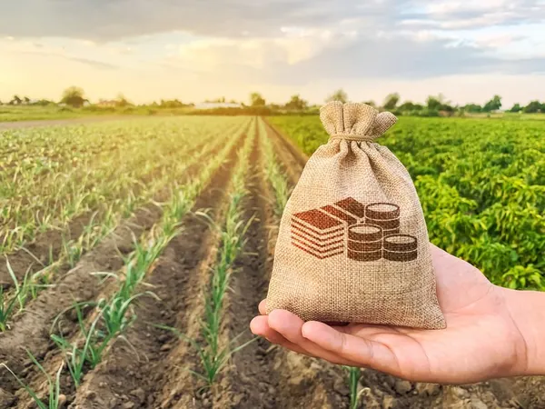 CRÉDITO RURAL:  Contratações somam R$ 209 bilhões em nove meses 