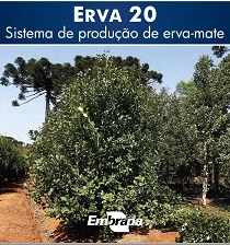 embrapa florestas 13 04 2022