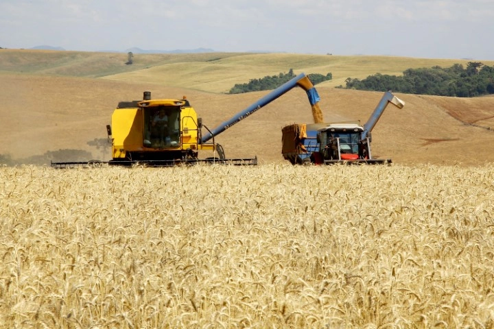 conjuntura agro 14 04 2022