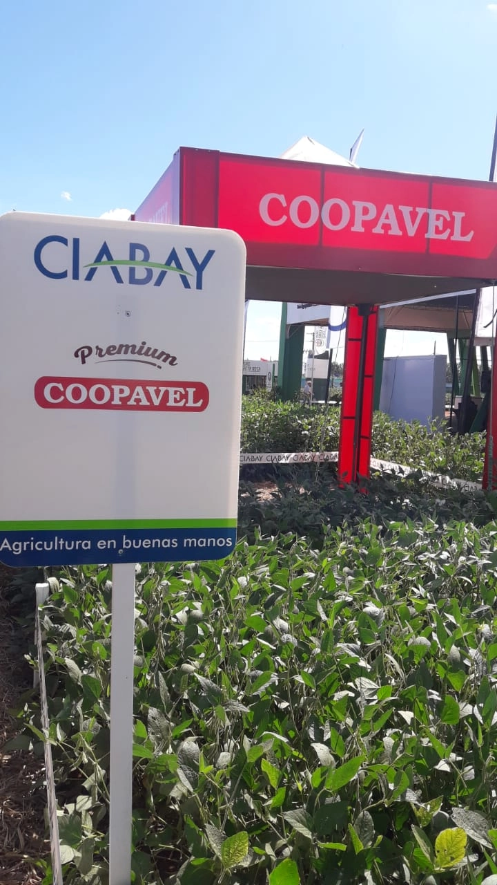 1coopavel 14 04 2022