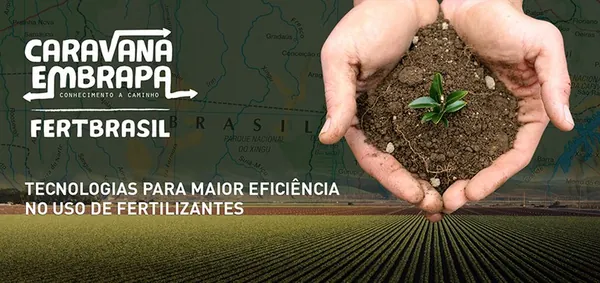 TRANSFERÊNCIA DE TECNOLOGIA: Pesquisadores vão orientar os produtores sobre o uso eficiente de fertilizantes e insumos