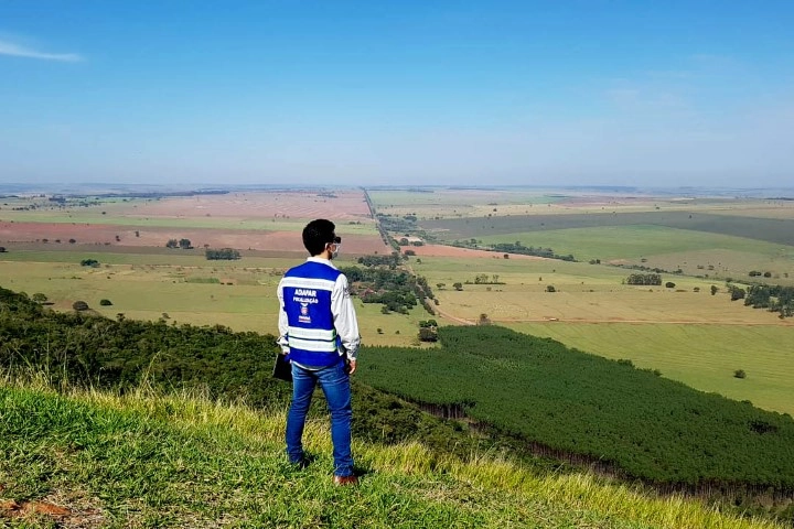 defesa agropecuaria 18 05 2022