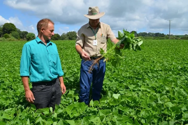 IDR-PARANÁ: Extensão rural comemora 66 anos ajudando a transformar a agropecuária no Paraná 