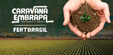 fertilizantes 09 06 2022