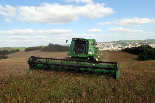 DEFESA AGROPECUÁRIA: Adapar coíbe uso abusivo de agrotóxicos em plantações de feijão