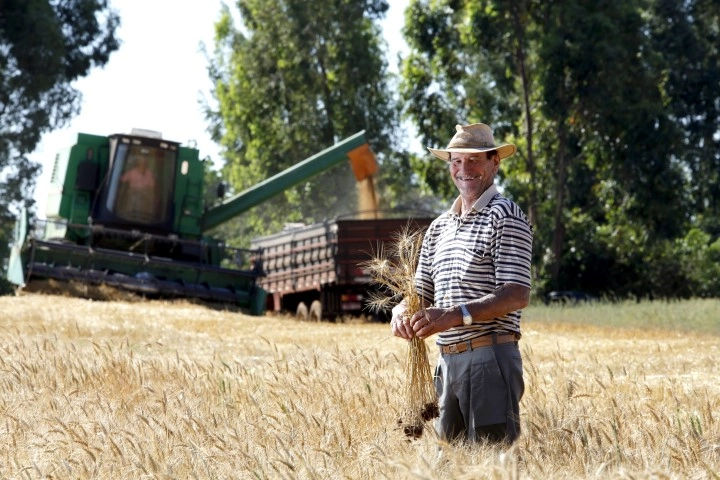 dia agricultor 28 07 2022