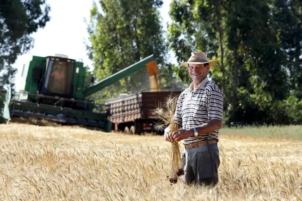 28 DE JULHO I: Sistema Ocepar presta homenagem ao Dia do Agricultor