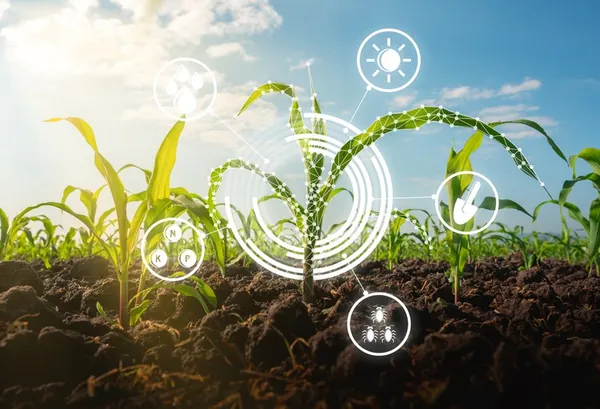 INOVAÇÃO: Portaria institui Programa AgroHub Brasil