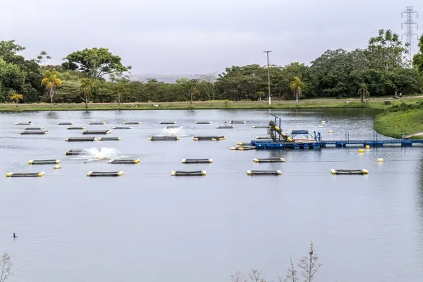 COMÉRCIO EXTERIOR: Exportação de pescados dobra no primeiro semestre de 2022