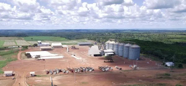 FRÍSIA: Cooperativa prevê aumento da área agrícola e do número de cooperados no Tocantins 