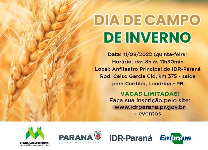 idr parana 08 08 2022