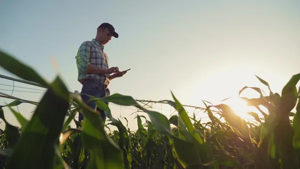 GESTÃO DE RISCOS: Áreas beneficiadas pelo Proagro serão vistoriadas pela Conab