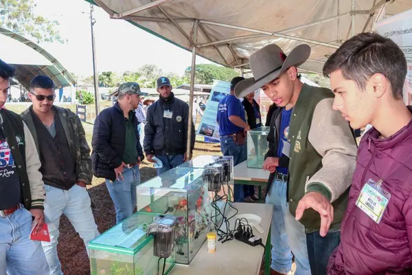 COCAMAR: Concessionária participa da Expoagri em Apucarana