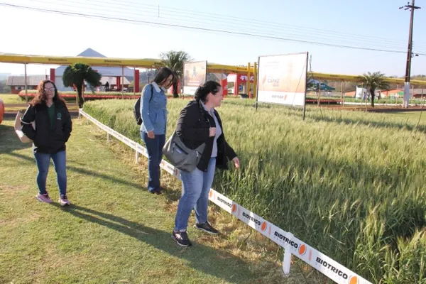 COOPAVEL II: Show Rural de Inverno tem agenda especial para a mulher agricultora