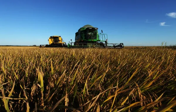 INOVAÇÃO: Mapa e ABDI divulgam oito ambientes de inovação premiados no segundo Edital Agro 4.0