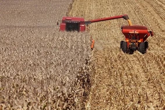 VBP: Valor da produção agropecuária de 2022 está estimado em R$ 1,207 trilhão