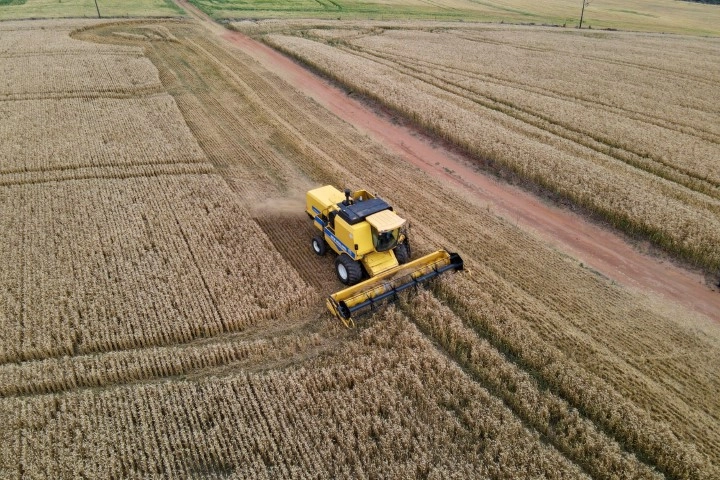conjuntura agropecuaria 17 09 2022