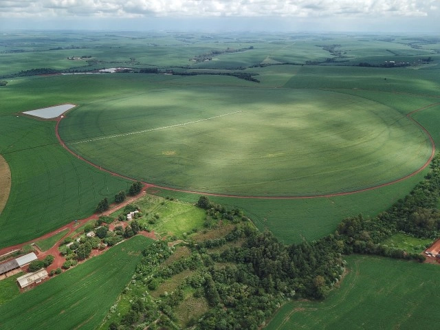 agricultura 21 10 2022